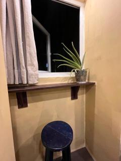 Leaves of Linden by Boudha - 3