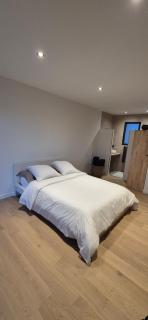 Villa Spa privé - 6