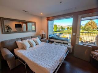 Downtown Retreat Walkable, LAKE & Mountain VIEWS - 4