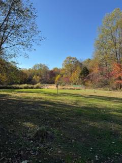 Fireflies and night skies! - 7