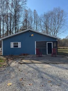 Fireflies and night skies! - 3