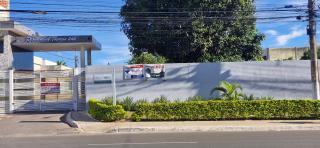 Canto da Árvore - 6