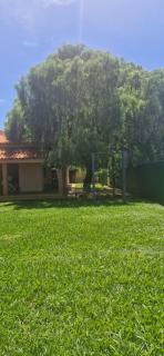 Canto da Árvore - 5