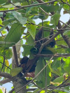Modern loft, volcano view - 4