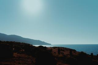 House of Paradise - 1