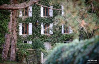 Le Domaine de Moroges - 5