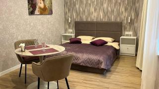 Luxury flat near Opera 3 - Lviv - 8