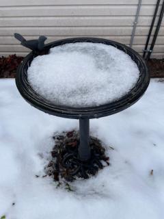 Algonquin Waterfront and Winter Paradise With Sunsets - 9