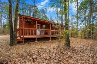 Misty Moonlight By The Cohost Company - 2