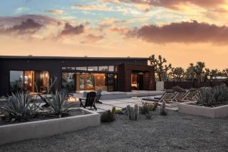 Black Butterfly By The Cohost Company - 3