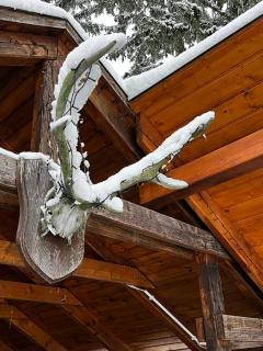 Hétházpuszta Erdészlak - 1