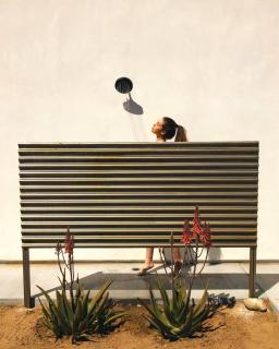 Desert Bloom By The Cohost Company - 5