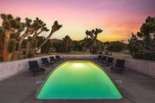 The Kingdom By The Cohost Company - 8