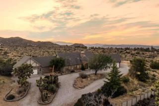 The Kingdom By The Cohost Company - 3