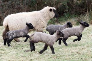 2 Bed in West Hill oc-d33968 - 1