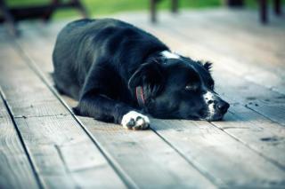 2 Bed in West Hill oc-d33968 - 7