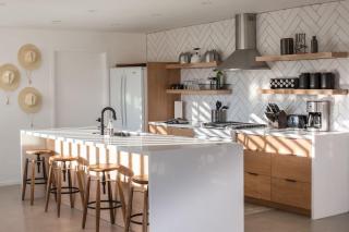 Zebra Shadow By The Cohost Company - 6