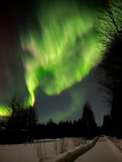 Lapland Reindeer Villa near Rovaniemi - 3