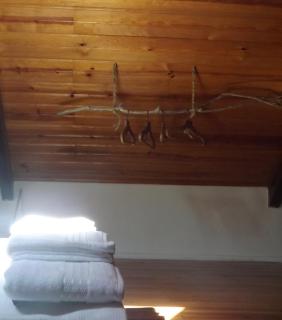 Aiola Duplex Eco-friendly - Sesimbra - 1