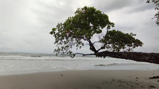 Breathtaking Oceanview Studio - 9