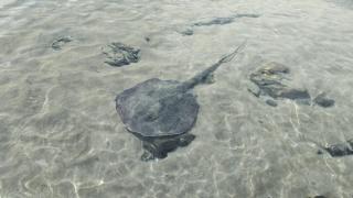 Breathtaking Oceanview Studio - 3