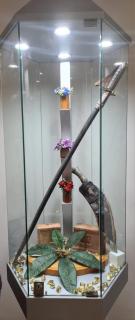 Salento - Casa Vacanza di appartamento open space - 3