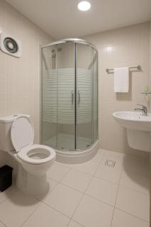 Al Amer palace luxury Hotel - 2