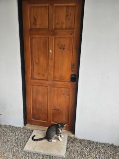 Boutique Studios Uvita - 7