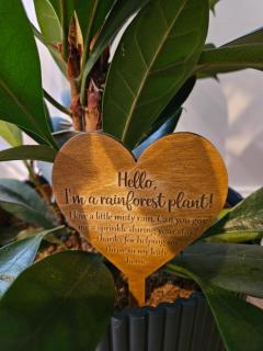 Salt & Sage, Whitby - NEW - 2