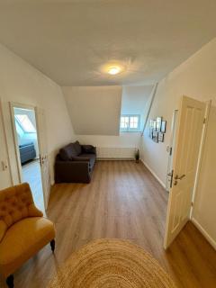 Robbe beim Ochsenturm am Deich - 9