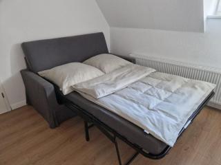 Robbe beim Ochsenturm am Deich - 5