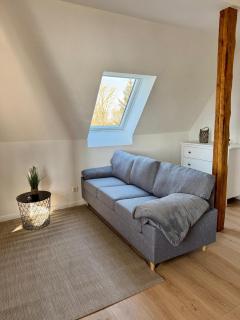 Robbe beim Ochsenturm am Deich - 3