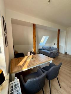 Robbe beim Ochsenturm am Deich - 1