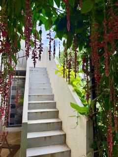 Rabbit Hill Retreat - 4