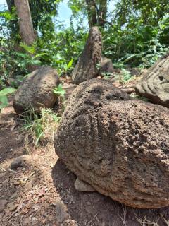 Lakefront house in Ometepe. Casa San Ramon - 1
