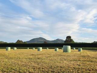 Saddleview Cottage - Horse and Pet Friendly - Mosgiel - 3