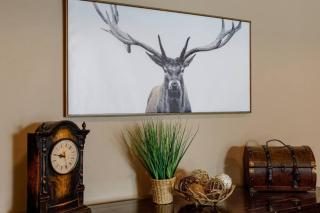 The Moccasin Lodge with Hot Tub and Fire Pit Escape - 1