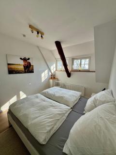 Seelöwe beim Ochsenturm am Deich - 6