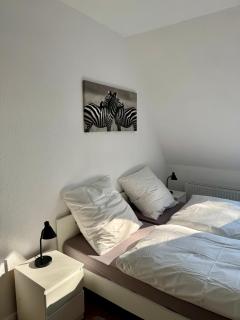 Seelöwe beim Ochsenturm am Deich - 3