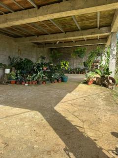 El Spot Orgánico - 7