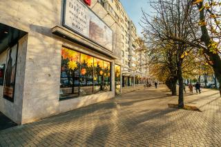 Central Rîșcani Loft - 8