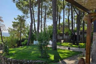 La Piñona - ACOGEDOR CHALET EN LAS ESTRIBACIONES DE LA SIERRA DE GREDOS - CASA PARA 6 PERSONAS CON PISCINA EN EL TIEMBLO ÁVILA - 8