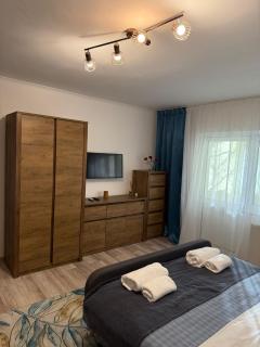 Cozy Two-Room Apartment - 6