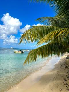 Tika Bungalow - Grande Terrasse privée et Accès Plage à pied - 7