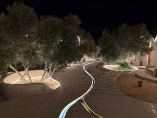 Asfay Lodge Siwa - 8