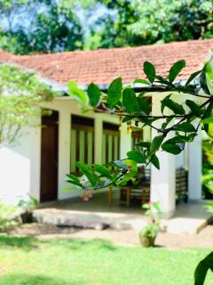 Cocos villa Hikkaduwa - 4