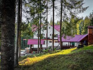 Panoramic Apuseni Doda Pilii - Răchiţele - 4