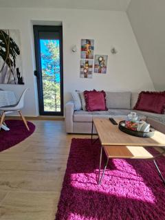 Apartman PANORAMA Green Hills Divčibare - 3