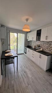 Lapus Residence Apartament - 1