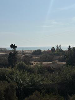 Garden view double room - 6